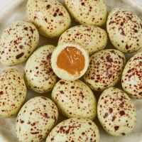 Summerbird Organic Påskeæg - Lemon & Pistacis Vagtelæg