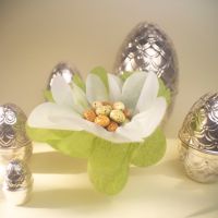 Summerbird Organic Sølvæg 2026  -  miljø