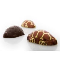 Toms XL Kæmpeskildpadde - miljø