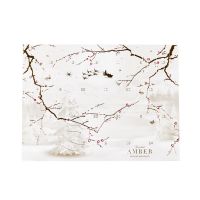 Summerbird Amber Christmas Calender 2025