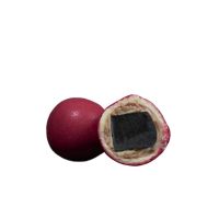 Lakrids by Bülow - Crispy Raspberry