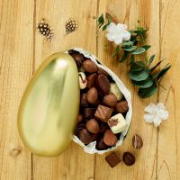 The Egg Mega_guld_900g luxchokolade og luxæg_miljø