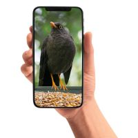 	Foderbræt med kamera WIFI + APP styring