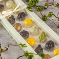 Xocolatl - Spring Feeling 16 2026