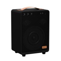 SACKit Boom 150 - Kraftfuld højtaler med equalizer