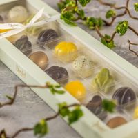 Xocolatl - Spring Feeling 16 2026