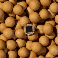 Lakrids by Bülow - Crispy Caramel - Cutout