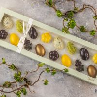 Xocolatl - Spring Feeling 16 2026