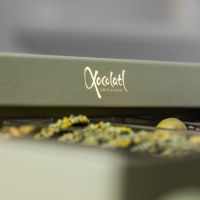 Xocolatl - Easter Spring Selection 2026