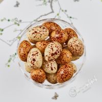 Summerbird Organic Vagtelæg miljø