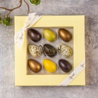 Xocolatl - Eggcelent 9 2026