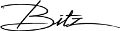 bitz-logo_redigeret.jpg