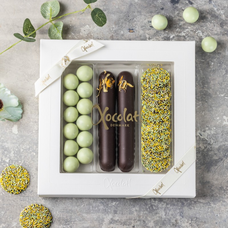 Xocolatl - Spring moments 2026